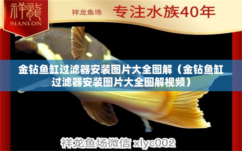 金鉆魚缸過濾器安裝圖片大全圖解（金鉆魚缸過濾器安裝圖片大全圖解視頻） 廣州祥龍國際水族貿(mào)易