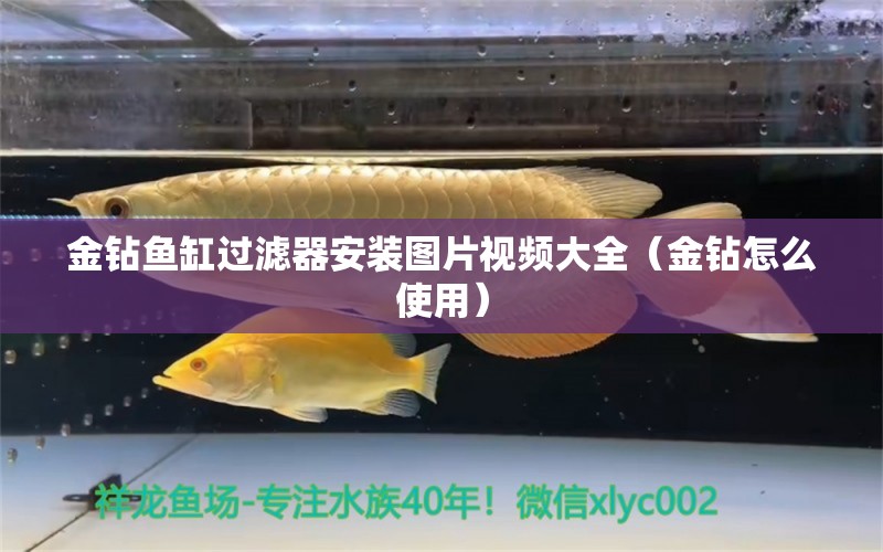 金鉆魚缸過濾器安裝圖片視頻大全（金鉆怎么使用）