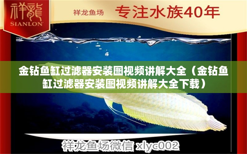 金鉆魚缸過濾器安裝圖視頻講解大全（金鉆魚缸過濾器安裝圖視頻講解大全下載） 祥龍水族醫(yī)院