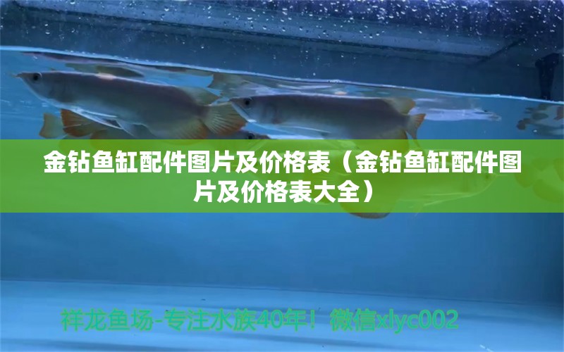 金鉆魚缸配件圖片及價(jià)格表（金鉆魚缸配件圖片及價(jià)格表大全） 祥龍水族醫(yī)院