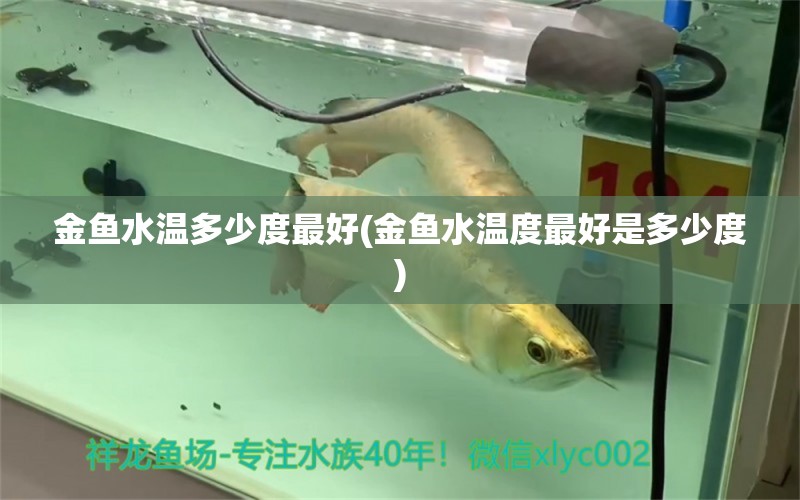 金魚水溫多少度最好(金魚水溫度最好是多少度) 綠皮辣椒小紅龍