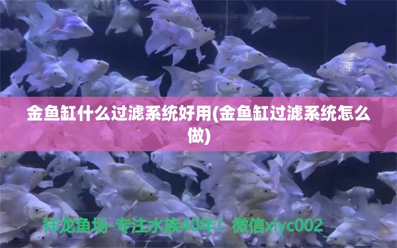 金魚缸什么過濾系統(tǒng)好用(金魚缸過濾系統(tǒng)怎么做) 元寶鳳凰魚專用魚糧