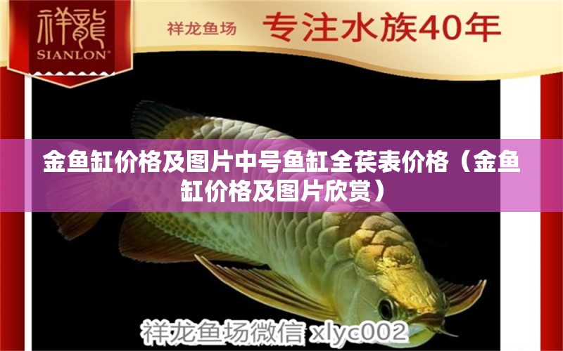 金魚缸價格及圖片中號魚缸全萇表價格（金魚缸價格及圖片欣賞） 祥龍魚場