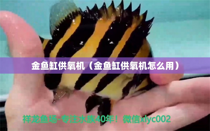 金魚缸供氧機(jī)（金魚缸供氧機(jī)怎么用）