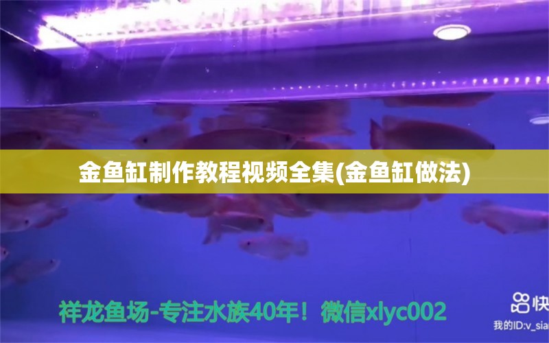 金魚缸制作教程視頻全集(金魚缸做法) 廣州祥龍國際水族貿(mào)易 第1張