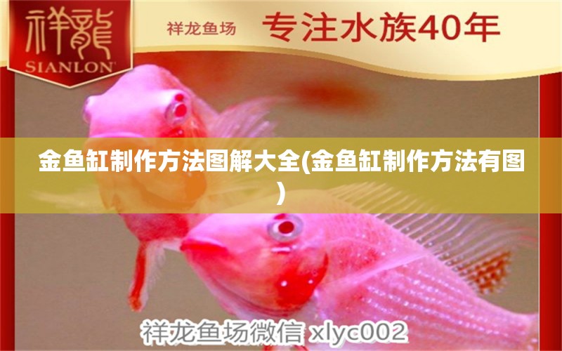 金魚缸制作方法圖解大全(金魚缸制作方法有圖) 印尼紅龍魚