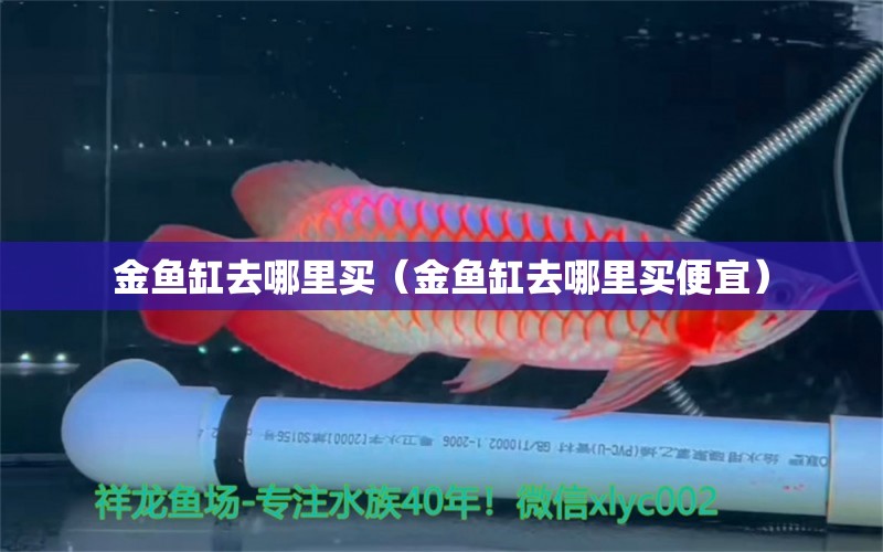 金魚缸去哪里買（金魚缸去哪里買便宜） 魚缸清潔用具