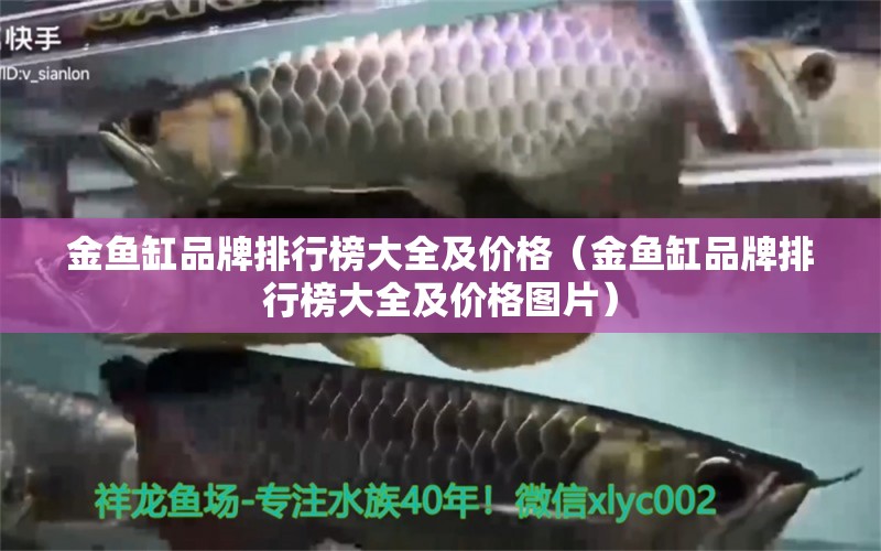 金魚缸品牌排行榜大全及價格（金魚缸品牌排行榜大全及價格圖片） 黃金鴨嘴魚