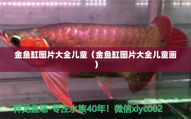 金魚缸圖片大全兒童（金魚缸圖片大全兒童畫） 黃金河虎魚