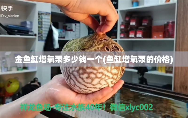 金魚缸增氧泵多少錢一個(gè)(魚缸增氧泵的價(jià)格) 金龍福龍魚