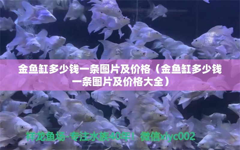 金魚缸多少錢一條圖片及價(jià)格（金魚缸多少錢一條圖片及價(jià)格大全） 祥龍水族醫(yī)院 第1張