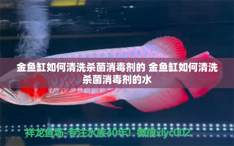 金魚缸如何清洗殺菌消毒劑的 金魚缸如何清洗殺菌消毒劑的水 觀賞蝦蟹等飼料