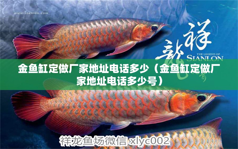 金魚缸定做廠家地址電話多少（金魚缸定做廠家地址電話多少號(hào)） 祥龍水族醫(yī)院