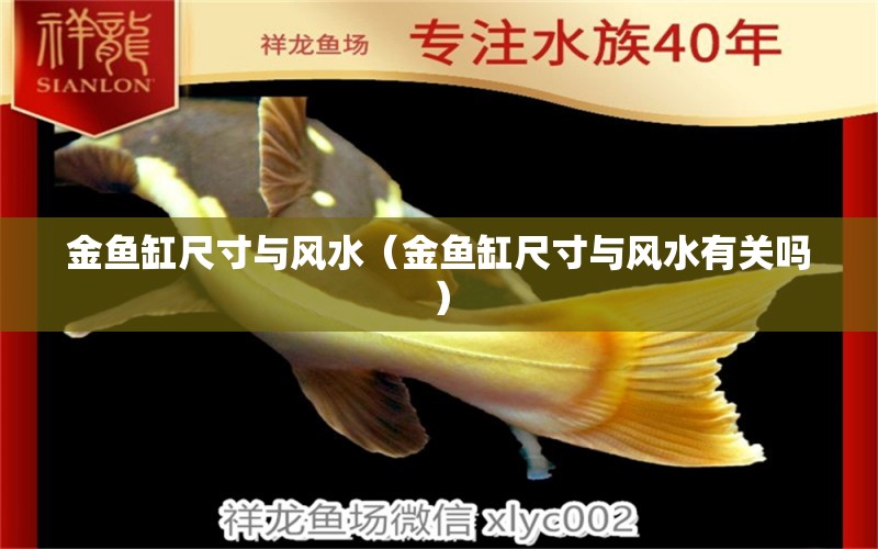 金魚缸尺寸與風水（金魚缸尺寸與風水有關嗎）