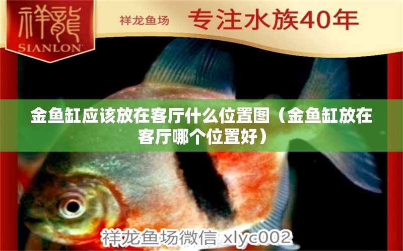 金魚缸應(yīng)該放在客廳什么位置圖（金魚缸放在客廳哪個位置好）