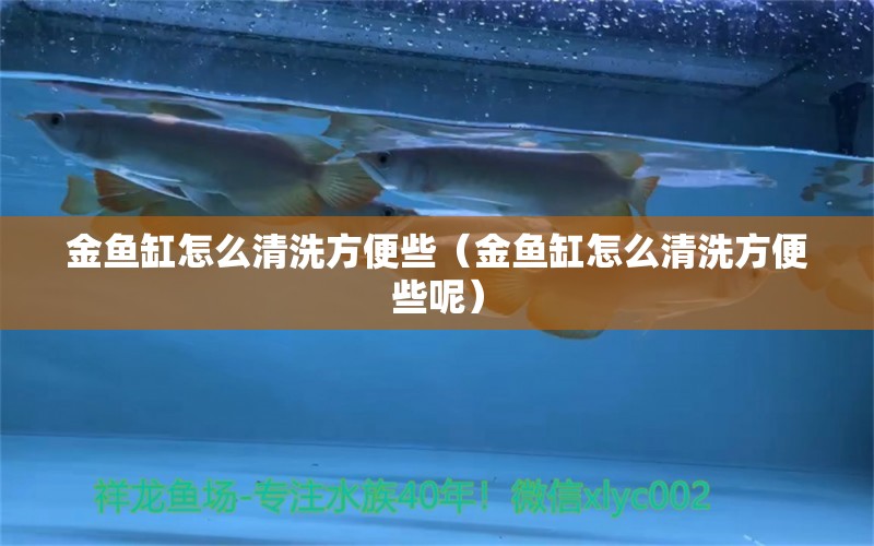 金魚(yú)缸怎么清洗方便些（金魚(yú)缸怎么清洗方便些呢）