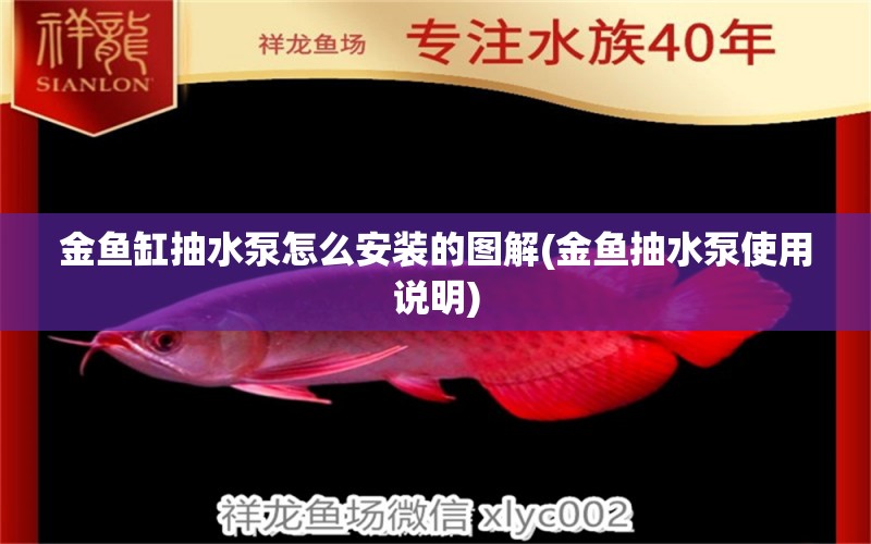 金魚缸抽水泵怎么安裝的圖解(金魚抽水泵使用說(shuō)明) 2024第28屆中國(guó)國(guó)際寵物水族展覽會(huì)CIPS（長(zhǎng)城寵物展2024 CIPS）