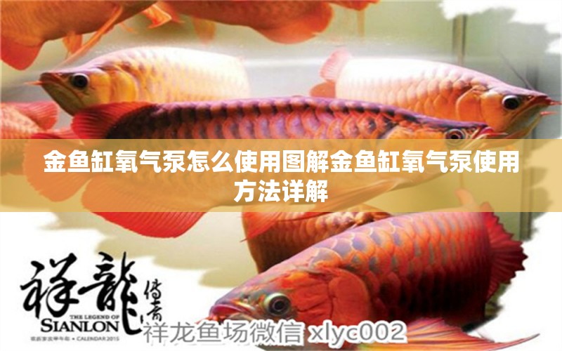 金魚(yú)缸氧氣泵怎么使用圖解金魚(yú)缸氧氣泵使用方法詳解 稀有紅龍品種