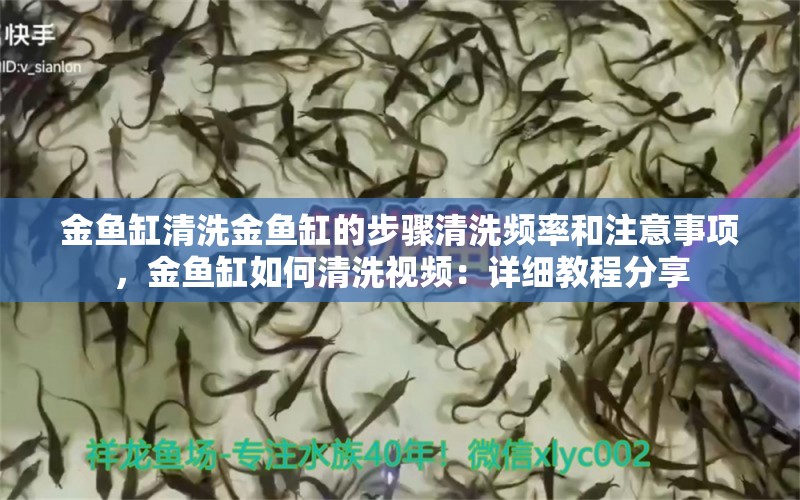 金魚缸清洗金魚缸的步驟清洗頻率和注意事項(xiàng)，金魚缸如何清洗視頻：詳細(xì)教程分享