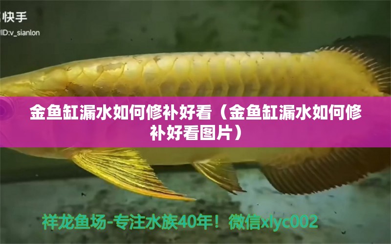 金魚缸漏水如何修補(bǔ)好看（金魚缸漏水如何修補(bǔ)好看圖片） 觀賞魚市場（混養(yǎng)魚）