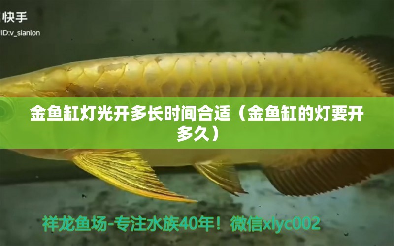 金魚缸燈光開多長時間合適（金魚缸的燈要開多久）