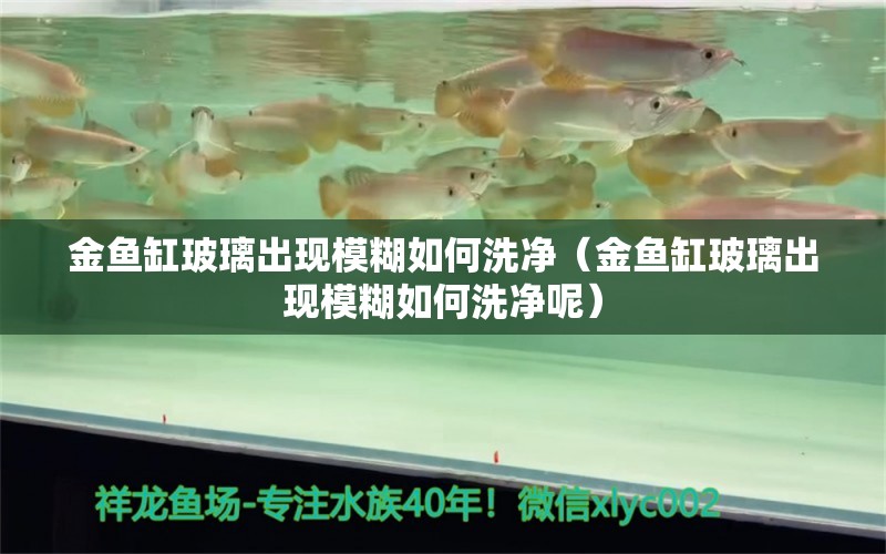 金魚(yú)缸玻璃出現(xiàn)模糊如何洗凈（金魚(yú)缸玻璃出現(xiàn)模糊如何洗凈呢）