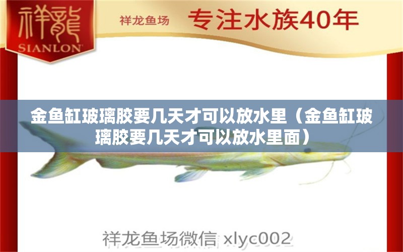 金魚缸玻璃膠要幾天才可以放水里（金魚缸玻璃膠要幾天才可以放水里面） 祥龍水族醫(yī)院