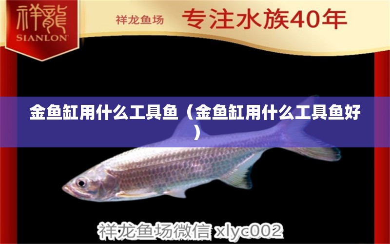 金魚缸用什么工具魚（金魚缸用什么工具魚好）