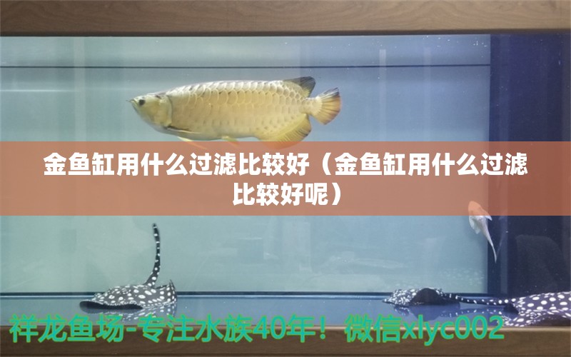 金魚缸用什么過濾比較好（金魚缸用什么過濾比較好呢）