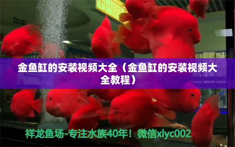 金魚缸的安裝視頻大全（金魚缸的安裝視頻大全教程）