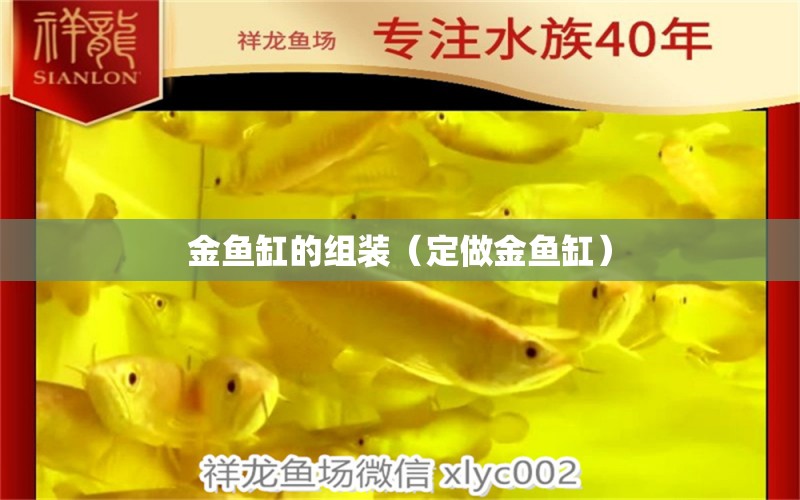 金魚缸的組裝（定做金魚缸） 刀魚魚