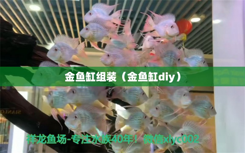 金魚缸組裝（金魚缸diy）