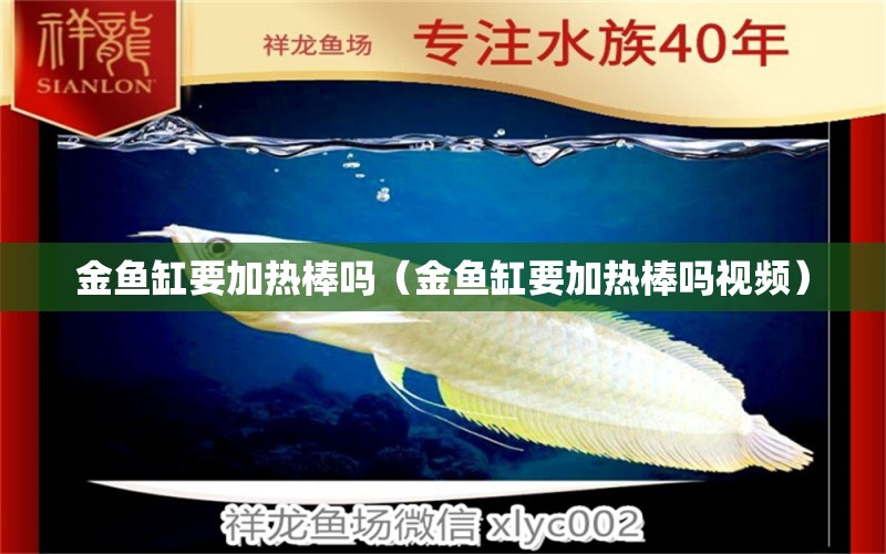 金魚缸要加熱棒嗎（金魚缸要加熱棒嗎視頻）