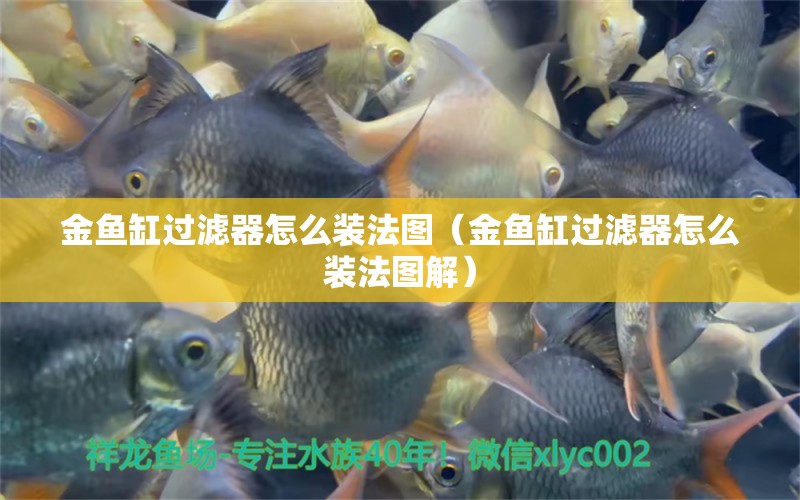 金魚缸過濾器怎么裝法圖（金魚缸過濾器怎么裝法圖解）