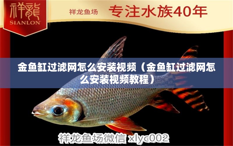 金魚缸過濾網(wǎng)怎么安裝視頻（金魚缸過濾網(wǎng)怎么安裝視頻教程） 觀賞魚市場(chǎng)（混養(yǎng)魚）