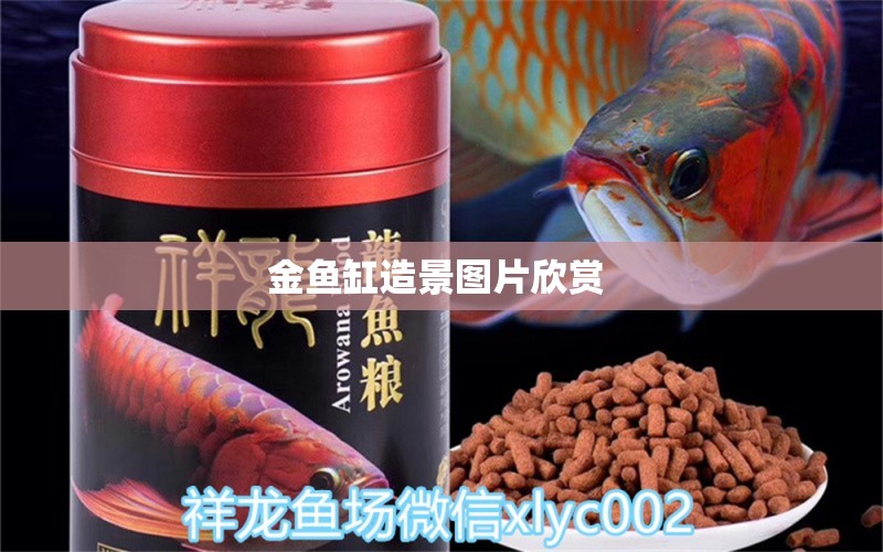 金魚缸造景圖片欣賞  iwish愛唯希品牌魚缸