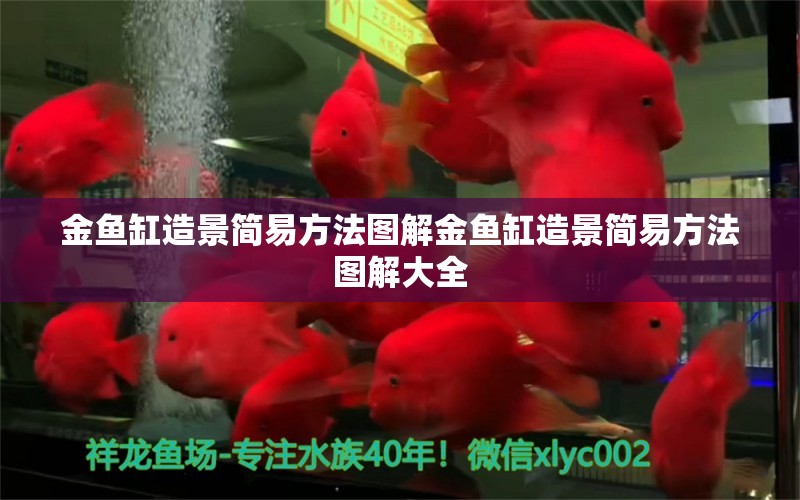 金魚缸造景簡易方法圖解金魚缸造景簡易方法圖解大全