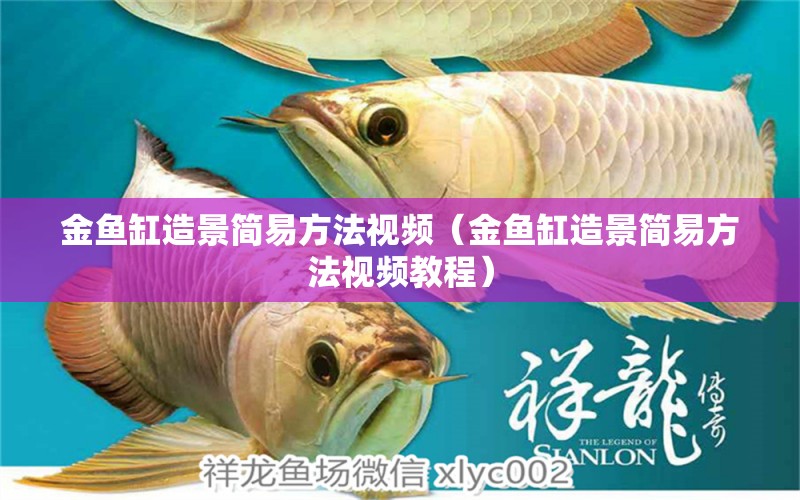 金魚缸造景簡易方法視頻（金魚缸造景簡易方法視頻教程） 觀賞魚市場（混養(yǎng)魚）