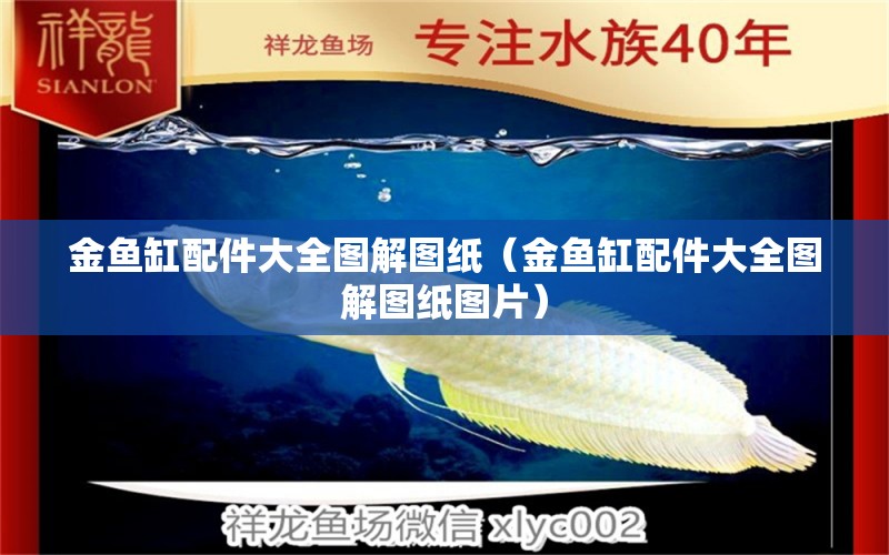 金魚缸配件大全圖解圖紙（金魚缸配件大全圖解圖紙圖片） 女王大帆魚苗