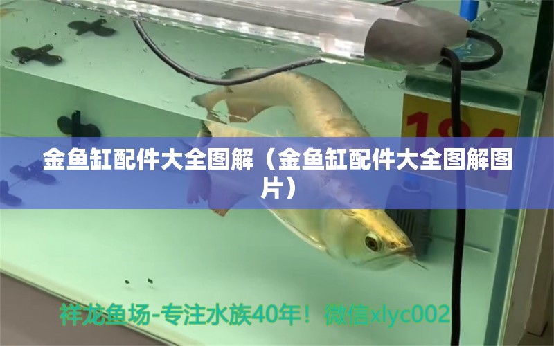 金魚(yú)缸配件大全圖解（金魚(yú)缸配件大全圖解圖片）