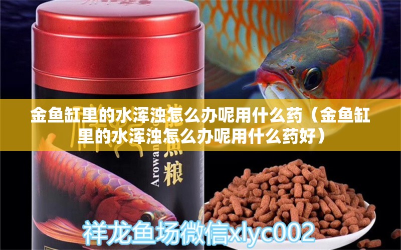 金魚缸里的水渾濁怎么辦呢用什么藥（金魚缸里的水渾濁怎么辦呢用什么藥好）