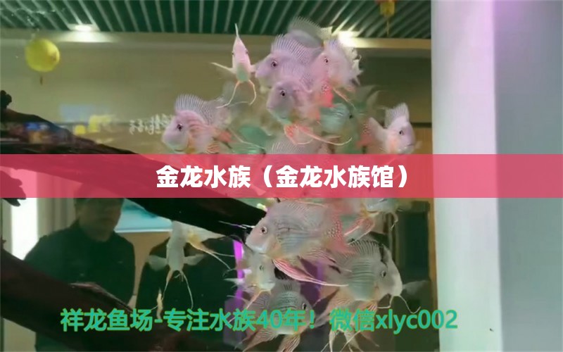 金龍水族（金龍水族館） 全國水族館企業(yè)名錄