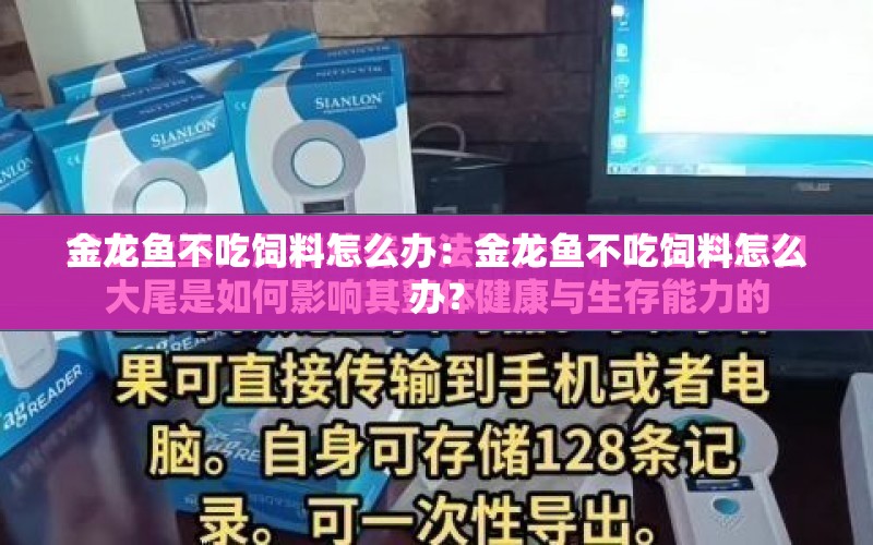 金龍魚不吃飼料怎么辦：金龍魚不吃飼料怎么辦？ 水族問(wèn)答 第2張