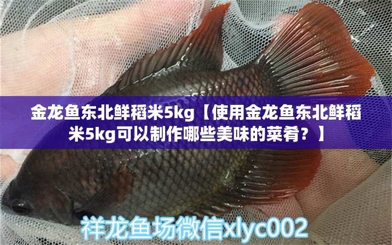 金龍魚東北鮮稻米5kg【使用金龍魚東北鮮稻米5kg可以制作哪些美味的菜肴？】