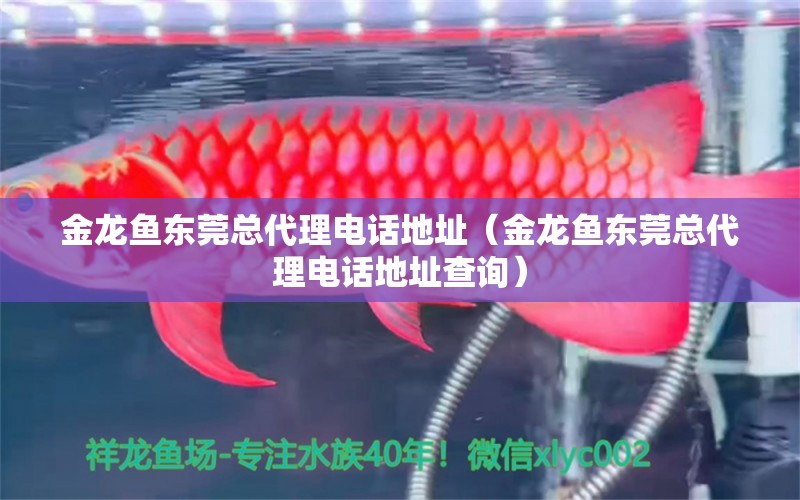 金龍魚東莞總代理電話地址（金龍魚東莞總代理電話地址查詢）