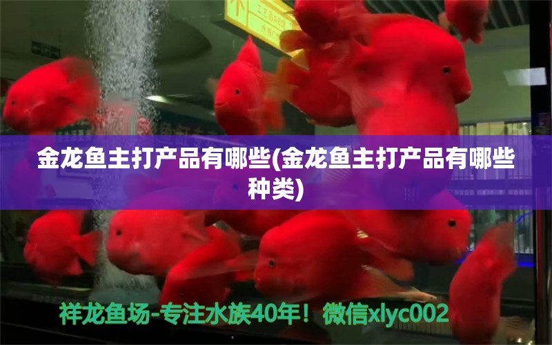 金龍魚主打產(chǎn)品有哪些(金龍魚主打產(chǎn)品有哪些種類) 祥龍水族護(hù)理水