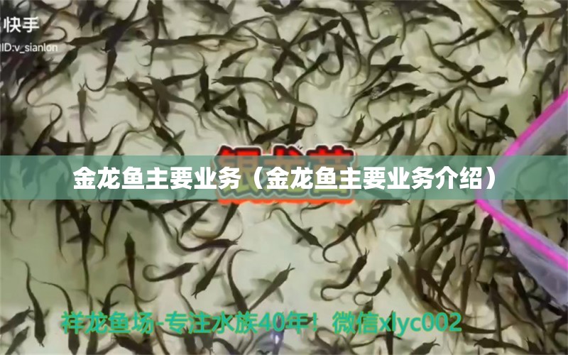 金龍魚主要業(yè)務(wù)（金龍魚主要業(yè)務(wù)介紹）