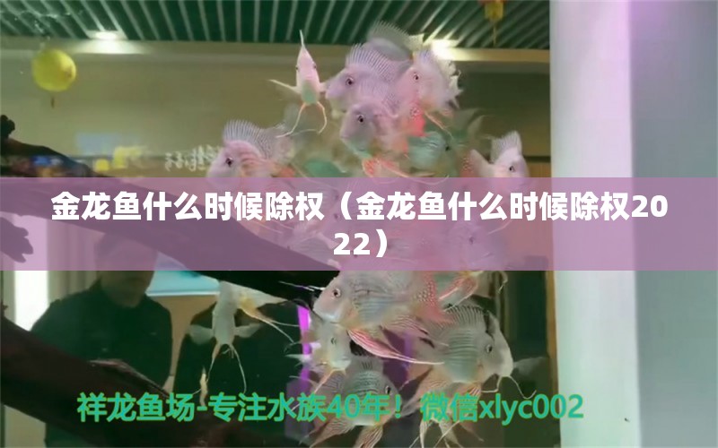 金龍魚什么時(shí)候除權(quán)（金龍魚什么時(shí)候除權(quán)2022） 祥龍魚場