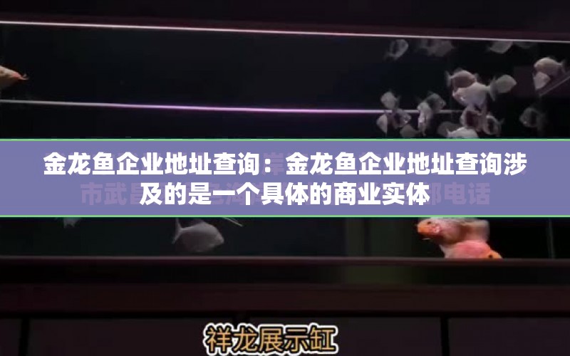 金龍魚企業(yè)地址查詢：金龍魚企業(yè)地址查詢涉及的是一個具體的商業(yè)實體 水族問答