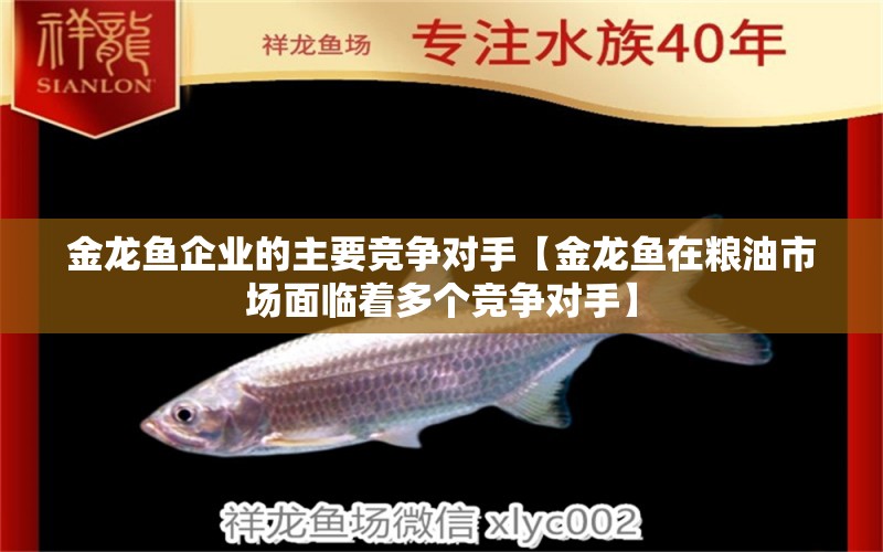 金龍魚企業(yè)的主要競爭對手【金龍魚在糧油市場面臨著多個競爭對手】 龍魚百科 第1張